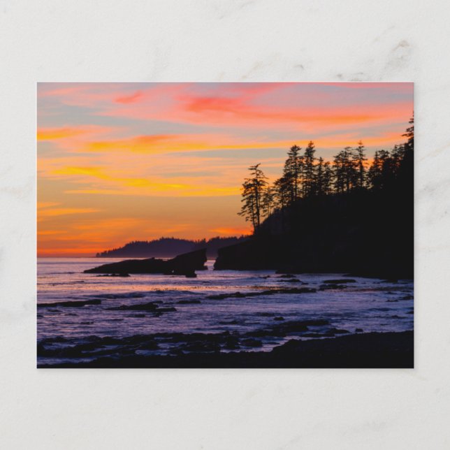 Kanada, Pacific Rim National Park Reserve, West Postkarte (Vorderseite)