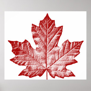 Kanada Poster Canada Maple Leaf Souvenir Print