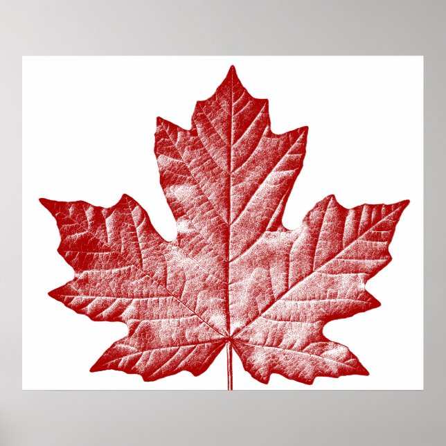 Kanada Poster Canada Maple Leaf Souvenir Print (Vorne)