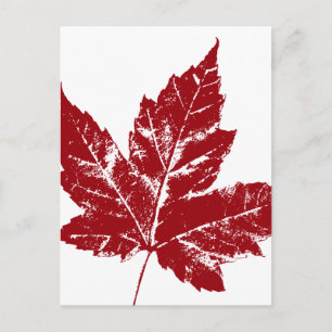 Kanada Postkarten Coole kanadische Souvenir Postka