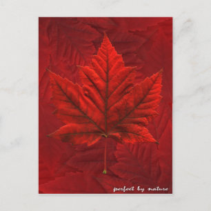 Kanada Postkarten Custom Canada Souvenir Postkarte