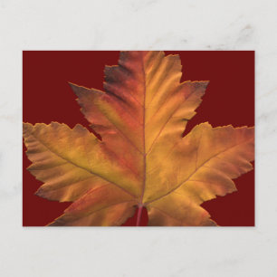 Kanada Postkarten Custom Canada Souvenir Postkarte