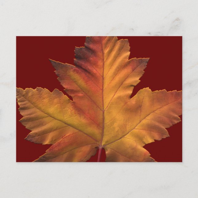 Kanada Postkarten Custom Canada Souvenir Postkarte (Vorderseite)