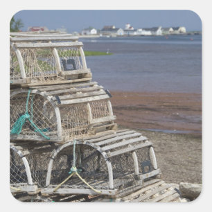 Kanada, Prince Edward Island, Rustico. Hummer Quadratischer Aufkleber