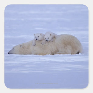 Kanada Quadratischer Aufkleber