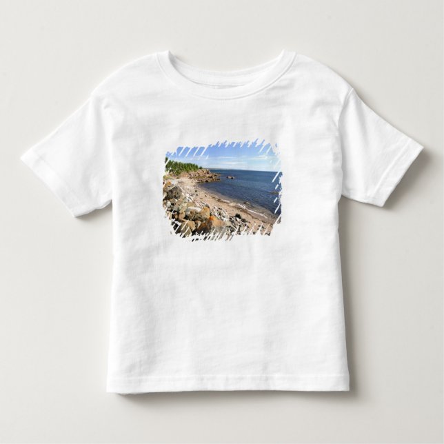 Kanada, Quebec. VIA Rail Canada trainiert die 2 Kleinkind T-shirt (Vorderseite)