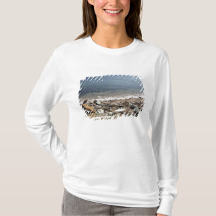 Kanada, Quebec. VIA Rail Canada trainiert T-Shirt