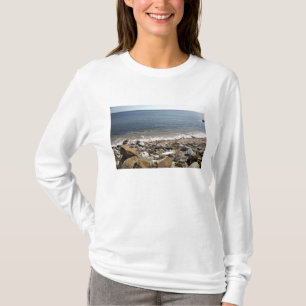 Kanada, Quebec. VIA Rail Canada trainiert T-Shirt