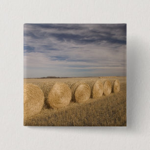 Kanada, Saskatchewan, Craik: Hayroll / Herbst Button