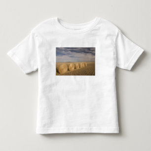 Kanada, Saskatchewan, Craik: Hayroll / Herbst Kleinkind T-shirt
