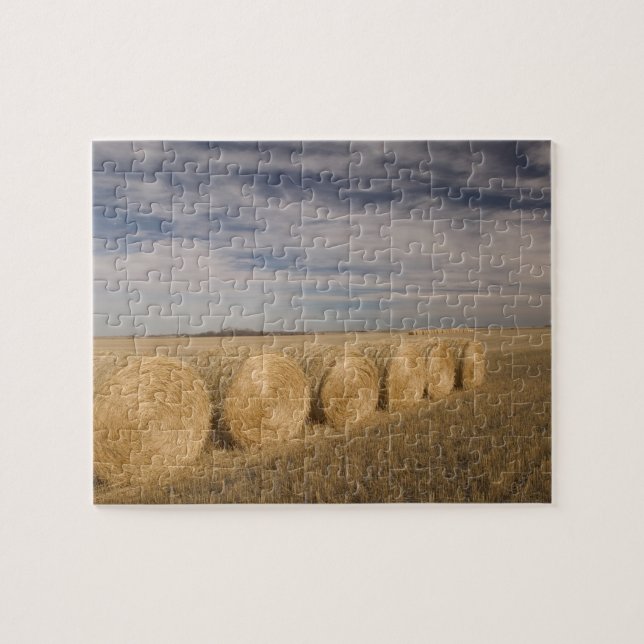 Kanada, Saskatchewan, Craik: Hayroll / Herbst Puzzle (Horizontal)