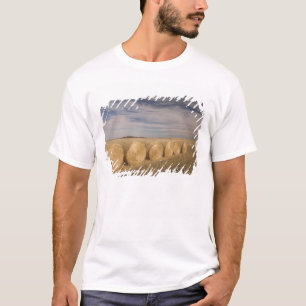 Kanada, Saskatchewan, Craik: Hayroll / Herbst T-Shirt
