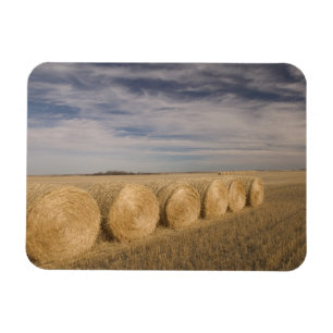 Kanada, Saskatchewan, Craik: Heuröllen / Herbst Magnet
