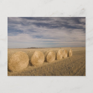 Kanada, Saskatchewan, Craik: Heuröllen / Herbst Postkarte