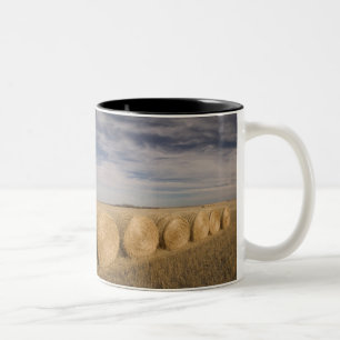 Kanada, Saskatchewan, Craik: Heuröller / Herbst Zweifarbige Tasse
