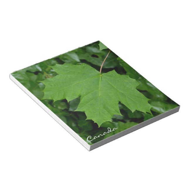 Kanada Souvenir Notepad Canada Maple Leaf Geschenk Notizblock (angewinkelt)