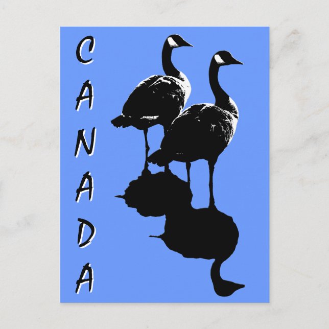Kanada Souvenir Postkarten Kanada Geese Cards (Vorderseite)