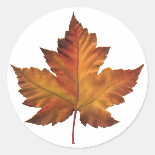 Kanada Stickers Canada Maple Leaf Souvenir