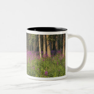 Kanada, Yukon, Ross River Area, Abandoned cabine Zweifarbige Tasse