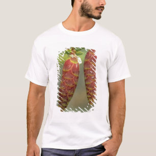 Kanada, Yukon, Schwarzkiefer-Zapfen T-Shirt