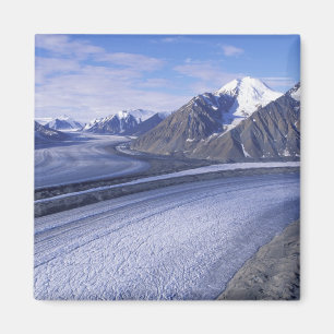 Kanada, Yukon-Territorium, Kluane-Nationalpark. Magnet
