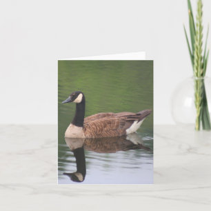 Kanadagans Reflexionen Natur Notiz Karte