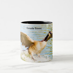 Kanadagans Zweifarbige Tasse