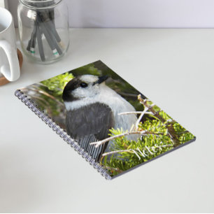 Kanadahäher Naturfoto Notizblock