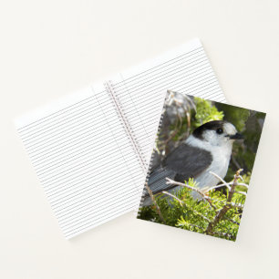 Kanadahäher-Naturfoto Notizbuch