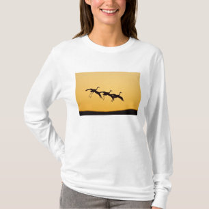 Kanadakranich landet bei Sonnenuntergang T-Shirt