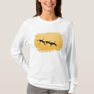 Kanadakranich landet bei Sonnenuntergang T-Shirt