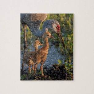 Kanadakranich mit Küken, Florida Puzzle