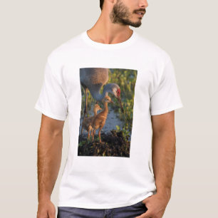 Kanadakranich mit Küken, Florida T-Shirt