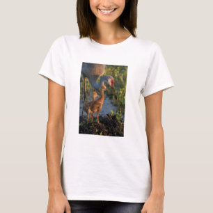 Kanadakranich mit Küken, Florida T-Shirt