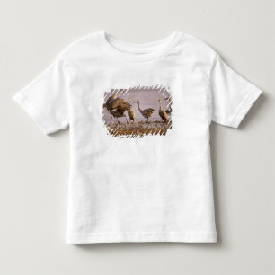 Kanadakraniche (Grus canadensis) Platte Kleinkind T-shirt