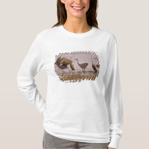 Kanadakraniche (Grus canadensis) Platte T-Shirt