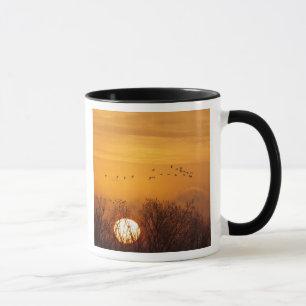Kanadakraniche vor aufgehender Sonne silhouettiert Tasse