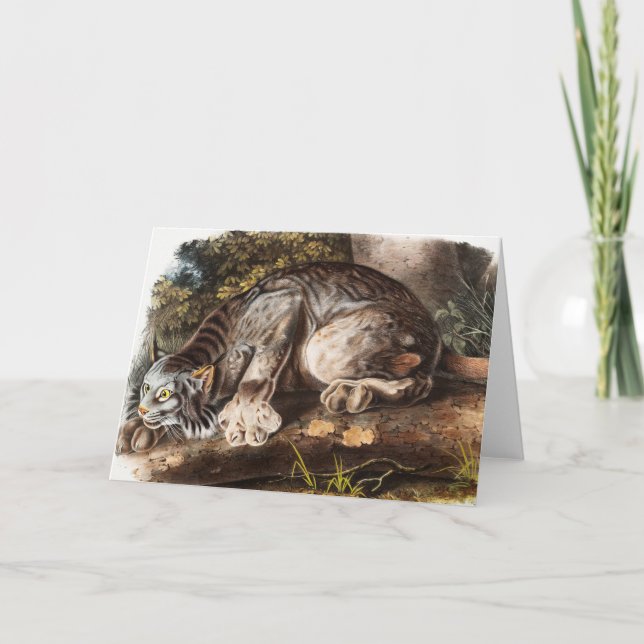 Kanadas Lynx (Lynx Canadensis) Illustration Karte (Vorderseite)