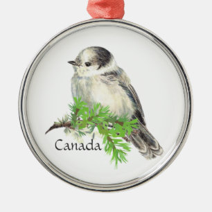 Kanadas National Bird Gray Jay, Whiskey Jack Silbernes Ornament