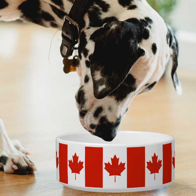 Kanadas roter weißer kanadischer Ahornblättersteg Napf (Canada Canadian flag pattern pet bowl)