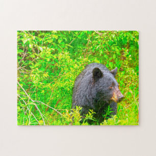 Kanadische Braunbären. Puzzle