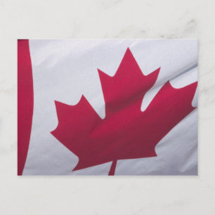 Kanadische Flagge. Postkarte
