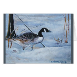 Kanadische Gans