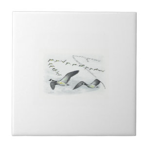 Kanadische Gans-Fliese Fliese