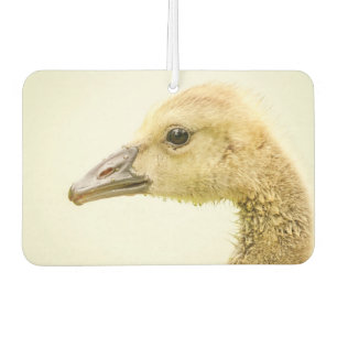 Kanadische Gans (Gosling) Autolufterfrischer