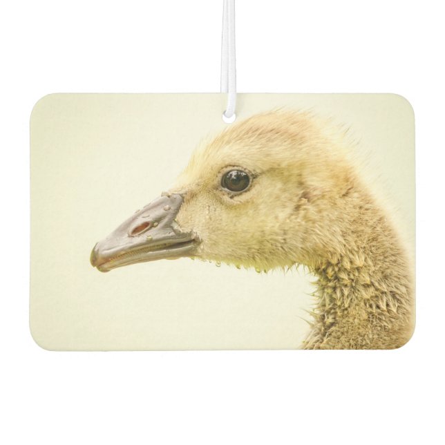 Kanadische Gans (Gosling) Autolufterfrischer (Vorderseite)