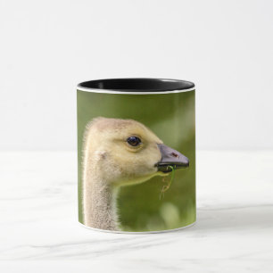 Kanadische Gans (Gosling) Tasse