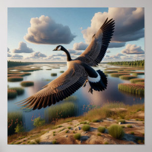 Kanadische Gans in den ruhigen Feuchtgebieten Poster