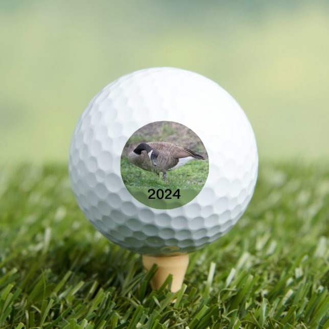 Kanadische Gans in Texas Golfball (Insitu T-Shirt)