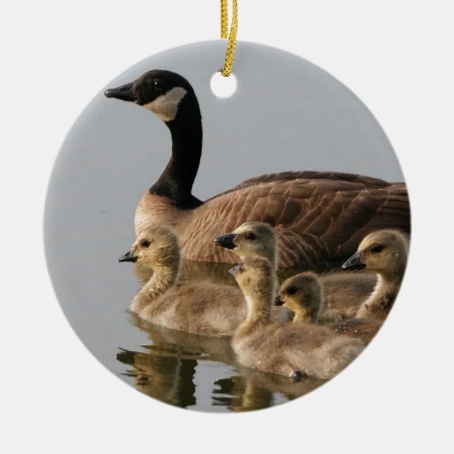 Kanadische Gans-Vogel-Liebhaber-Geschenke Keramik Ornament (Vorne)